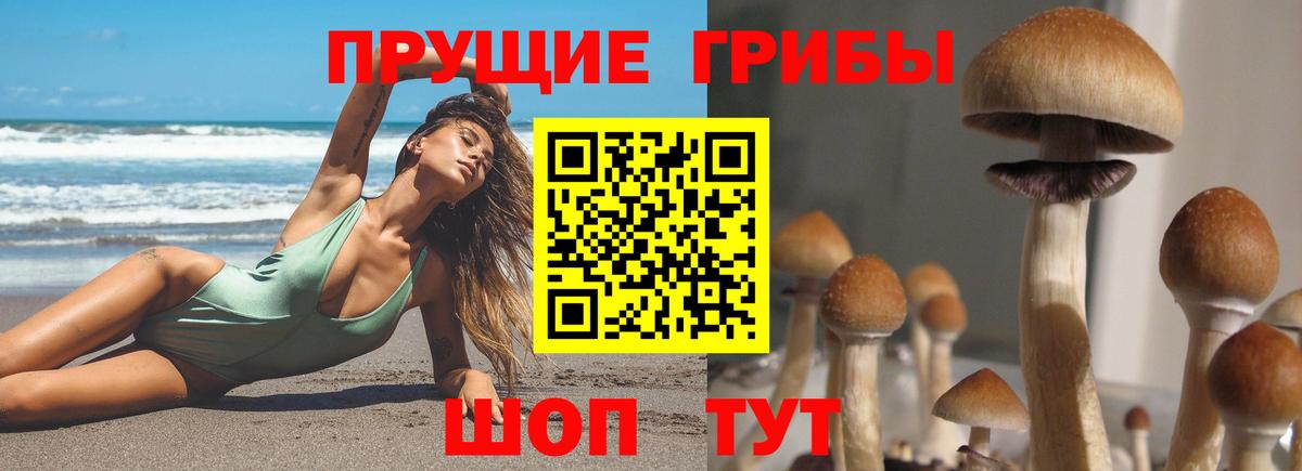 Фурманов  купить наркотик  Вход с VPN  Галлюциногенные грибы прущие грибы 