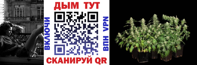 Марихуана индика  Фурманов 